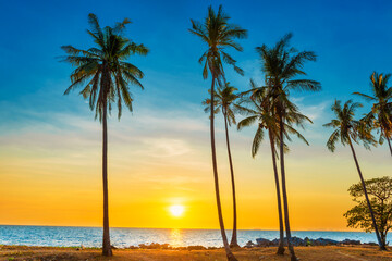 Sunset with palm trees on beach, landscape of palms on sea tropical island