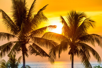 Fototapeta na wymiar Palm trees at sunset - landscape with coconut pulm trees over sunset sea