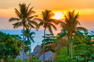 Palm trees at sunset - landscape with coconut pulm trees over sunset sea