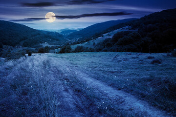 country road through rural field at night. suburban summer landscape in mountains in full moon...