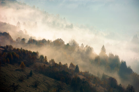 foggy mountain landscape at sunrise. beautiful autumn scenery in the valley. mist in morning light