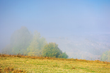 Fototapeta na wymiar misty morning autumn scenery. mountain landscape with trees in colorful foliage on the grassy meadow