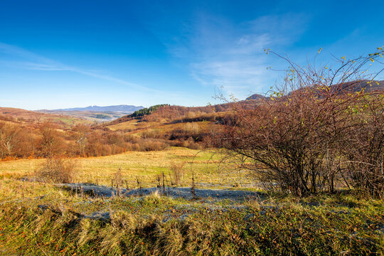 mountainous countryside in november. leafless trees on hills rolling in to the rural valley. snow capped ridge in the distance. sunny morning scenery