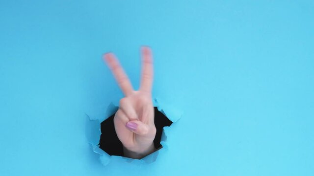 V sign. Victory gesture. Female hand dancing with two fingers up inside breakthrough hole isolated on blue torn paper wall background with empty space. Fun advertising banner.