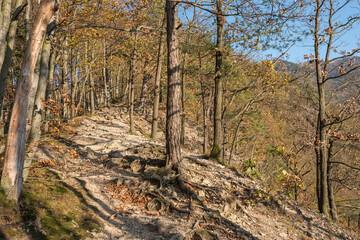 Seasonal autumn landscape and countryside view - forest with castle