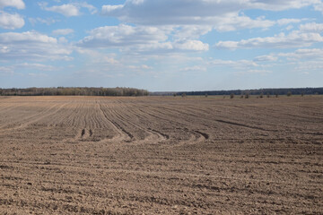 Fototapeta premium A plowed agricultural field. Blue sky over a farm field.