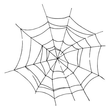 Stylized spider web. Hand-drawn black and white graphic. Isolated on white background. Idea for a postcard, holiday, notepad.