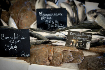 étal de poissons frais dans une poissonnerie