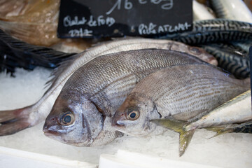 vente de poissons frais dans une poissonnerie 