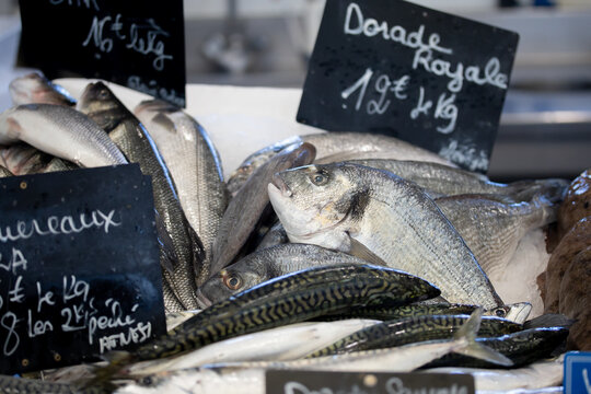 vente de poissons frais dans une poissonnerie 