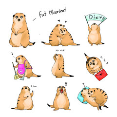 Funny fat meerkat - 379574910