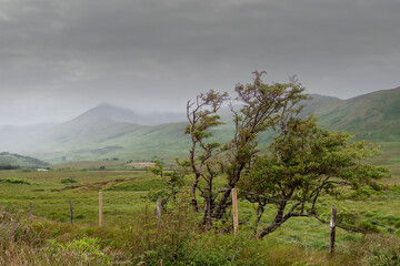 Landscape in Connemara region, Ireland, Beautiful mountains and clouds, Green grass fields.