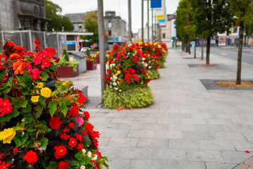 Selective focus on a colorful flower decoration in a town Square, Galway city, Ireland.