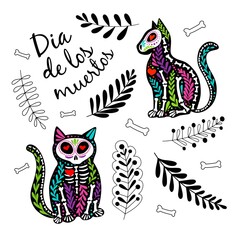 Vector colorful postcard. Dia de los Muertos, Day of the dead or Halloween concept. Cat skeletons with floral design, isolated on white background
