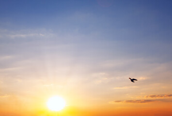 Sundial with rays in the dusk 