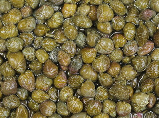 Capers, edible flower buds background and texture 