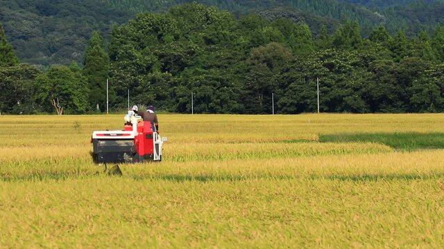 コンバインで稲刈りしている様子　秋田県