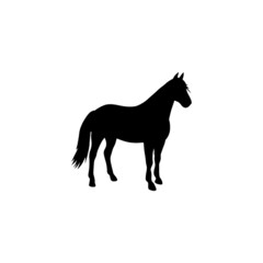 this is a horse logo.