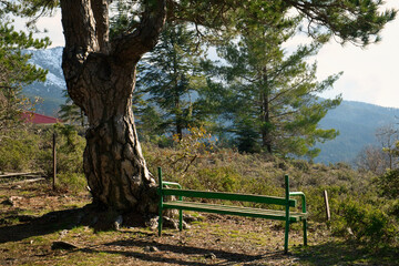 Park bench with a scenic mountain view of Troodos mountains on Cyprus