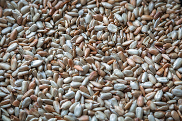 Roasted sunflower seeds