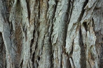 北海道の田舎のグラフィック素材