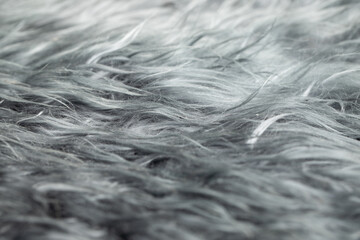 close-up of wool texture background, cotton wool, gray fleece, dark fluffy fur, curly hair, macro photography
