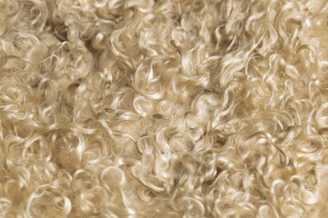 close-up of the wool texture