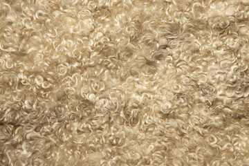 Macro texture of sheep wool