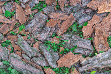 background of large pieces of wood bark that lies on the grass
