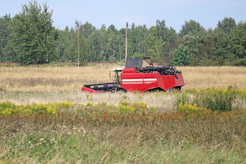 Fototapeta premium combine harvester aids in the harvesting of grain crops