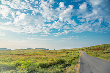 長野県霧ヶ峰高原