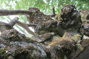 majolan park in blanquefort (france)