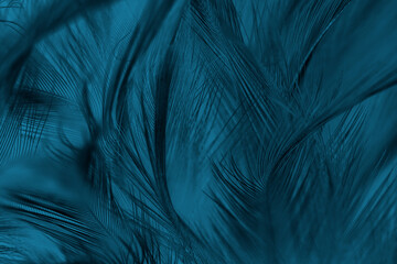 Beautiful watercolor dark blue feather pattern texture background 