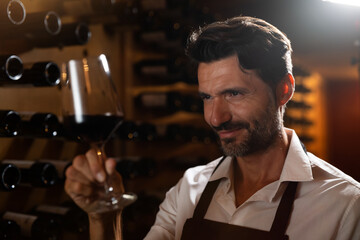 Authentic shot of happy successful male winemaker or sommelier is tasting a flavor and checking red...