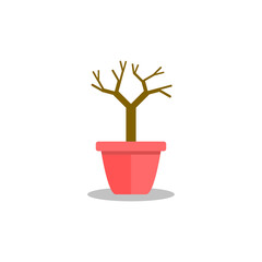 Illustration of dead plants in pots. dead ornamental plants and their leaves have fallen out