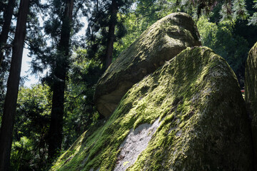 名草　巨石群　2020　夏　栃木県　足利市　名草
