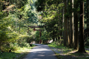 名草　巨石群　2020　夏　栃木県　足利市　名草