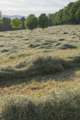 Obraz premium Wiese Landschaft Heu Stroh Sommer