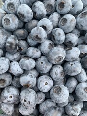 blueberries on the market