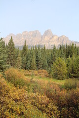 Autumn By Castle Mountain, Banff National Park, Alberta