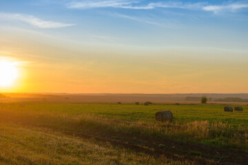 Colorful summer sunset over a mown field