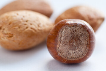 Closeup of almonds and hazelnut on a white countertop