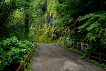 Obraz premium 静かな山道 秩父華厳の滝 上流付近の橋 埼玉県秩父市