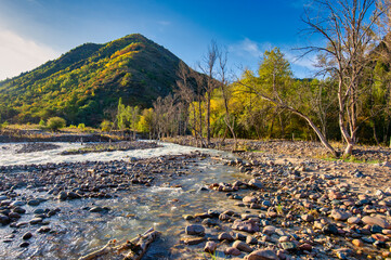 autumn in the mountains