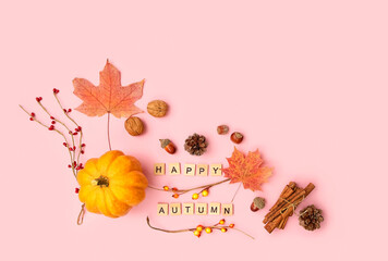 pumpkin, maple leaves, cones, nuts, cinnamon on pink background. Thanksgiving, Halloween Festive concept. flat lay. copy space