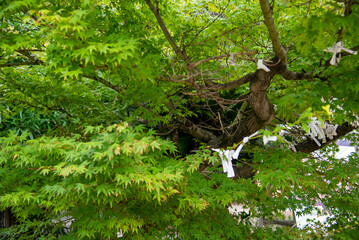 広島県・鞆の浦、福禅寺近傍