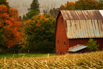 Rustic farm scene in rural vermont during autumn with fall colors changing and a bountiful harvest...
