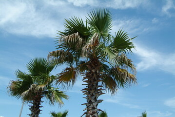 浦安市総合公園（千葉県浦安市明海）