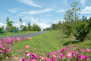 浦安市総合公園（千葉県浦安市明海）