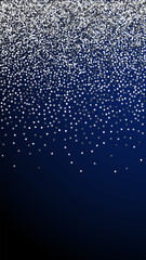 Round silver glitter luxury sparkling confetti. Sc